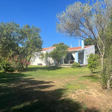 Lo Stazzo Di Wally Konuk evi Porto Pollo Dış mekan fotoğraf