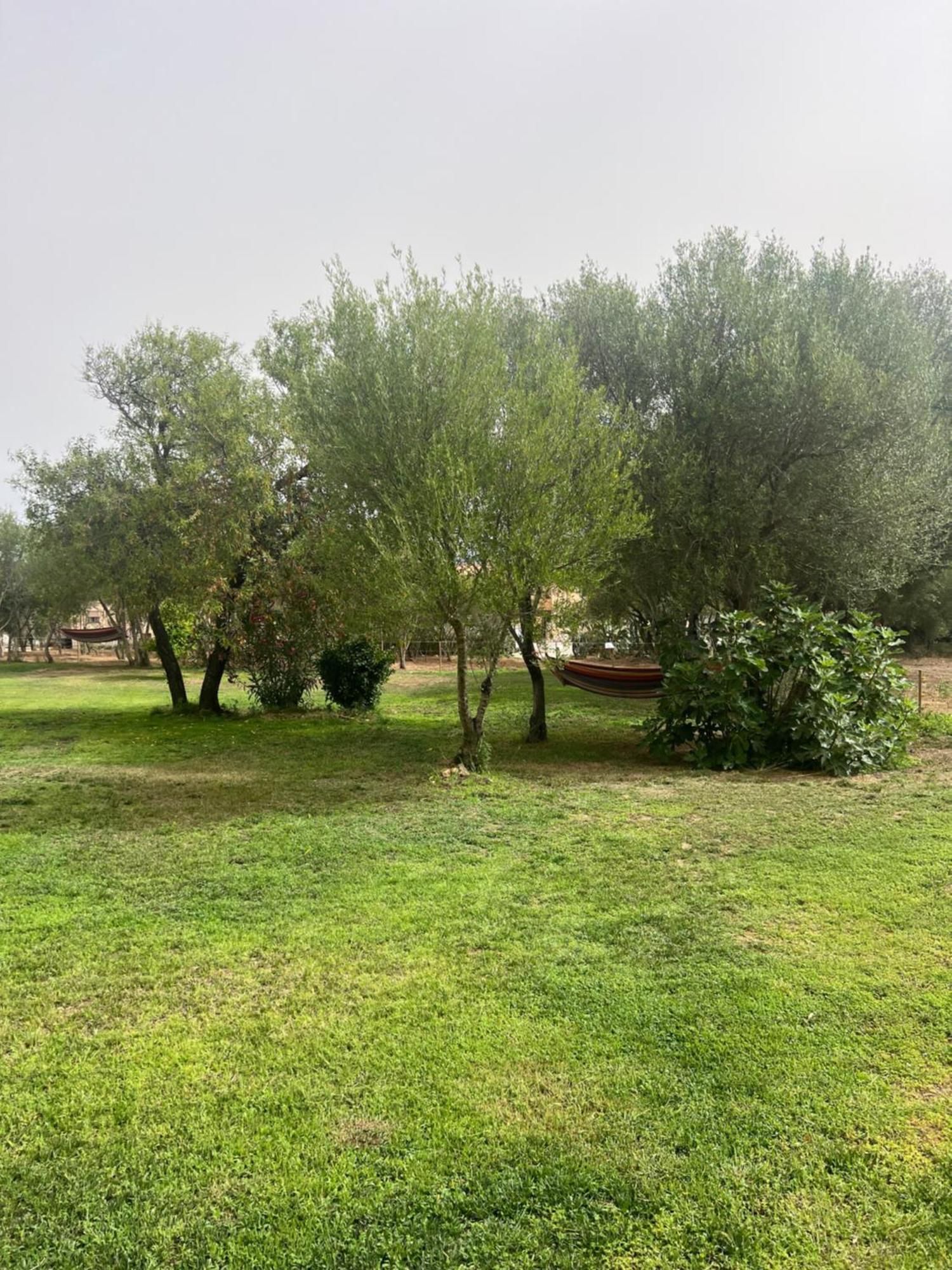 Lo Stazzo Di Wally Konuk evi Porto Pollo Dış mekan fotoğraf